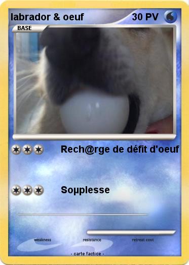 Pokemon labrador & oeuf