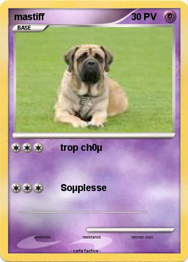 Pokemon mastiff