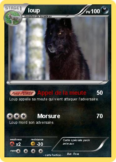 Pokemon loup