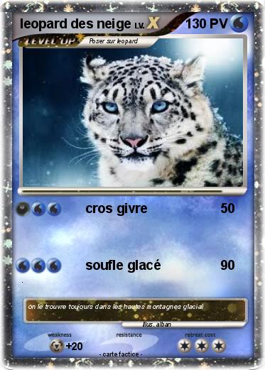 Pokemon leopard des neige