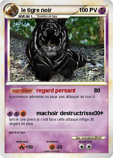Pokemon le tigre noir