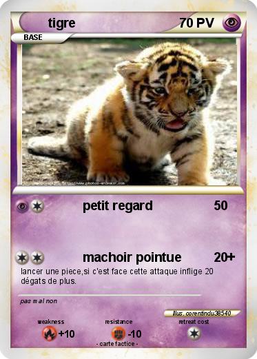 Pokemon tigre