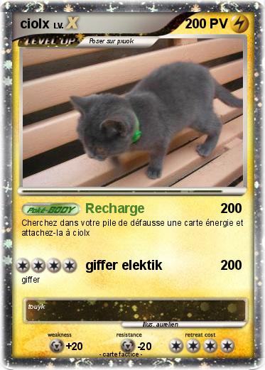 Pokemon ciolx