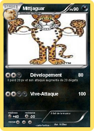 Pokemon Mittjaguar