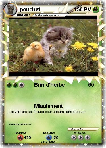 Pokemon pouchat