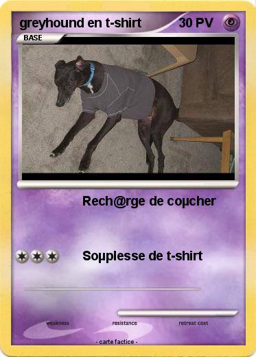 Pokemon greyhound en t-shirt