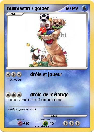 Pokemon bullmastiff / golden