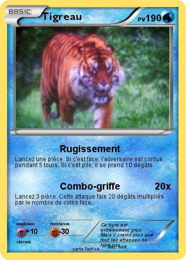 Pokemon Tigreau