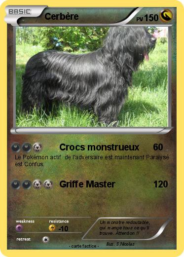 Pokemon Cerbère