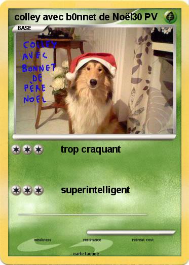 Pokemon colley avec b0nnet de Noël