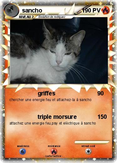 Pokemon sancho