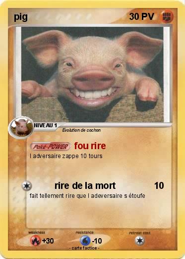 Pokemon pig