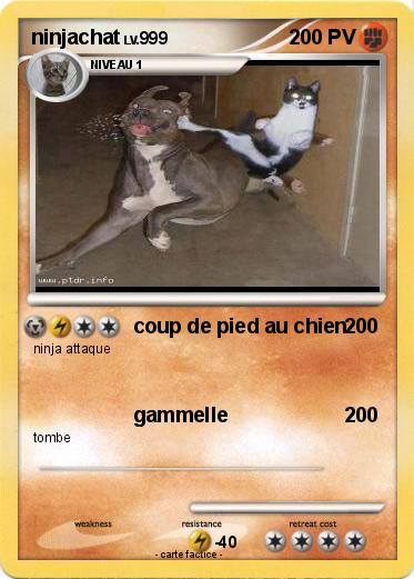 Pokemon ninjachat