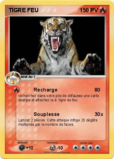 Pokemon TIGRE FEU