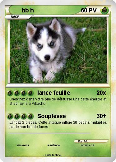Pokemon bb h