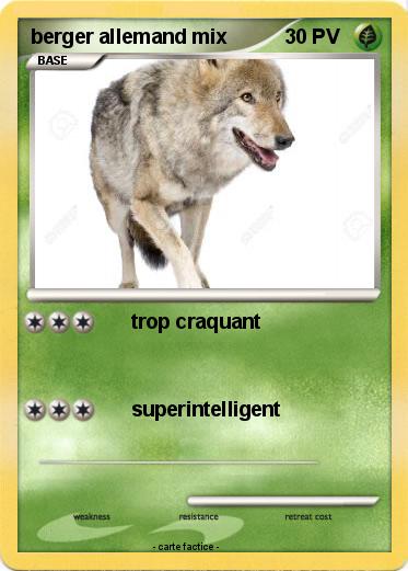Pokemon berger allemand mix
