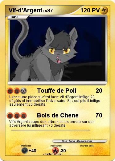 Pokemon Vif-d'Argent