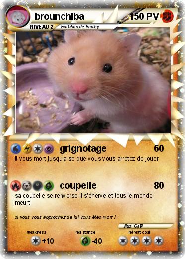 Pokemon brounchiba