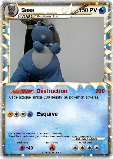 Pokemon Sasa