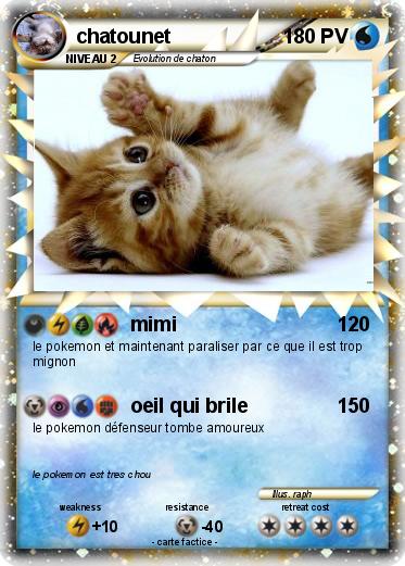 Pokemon chatounet