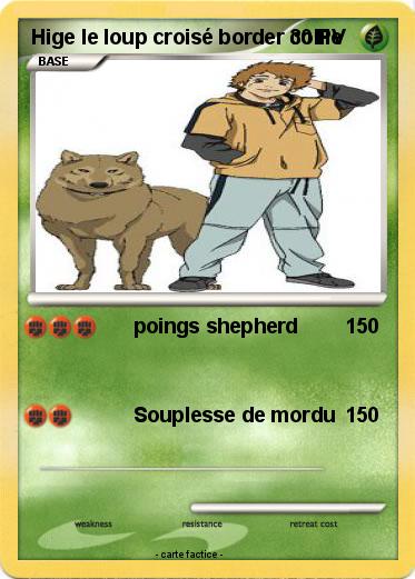 Pokemon Hige le loup croisé border collie