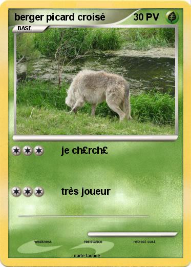 Pokemon berger picard croisé