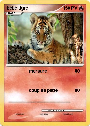 Pokemon bébé tigre