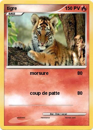 Pokemon tigre