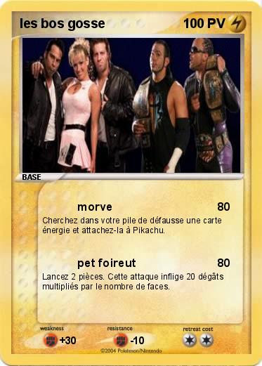 Pokemon les bos gosse                      