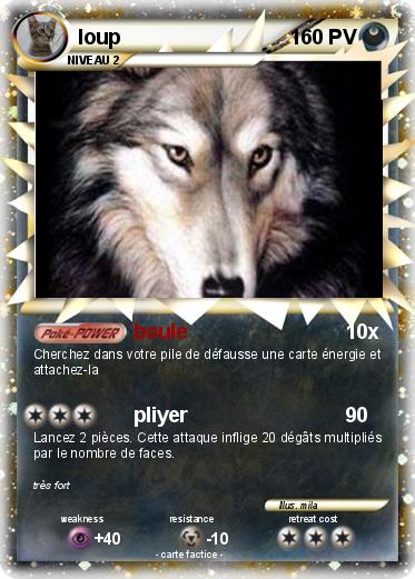 Pokemon loup