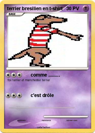 Pokemon terrier bresilien en t-shirt