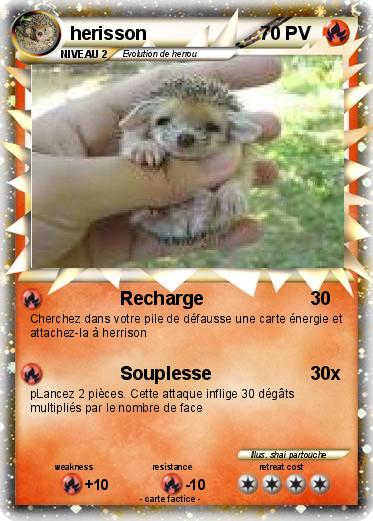 Pokemon herisson