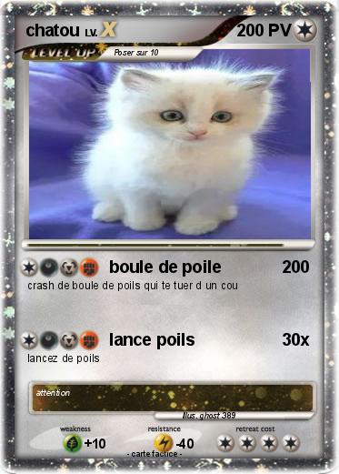 Pokemon chatou