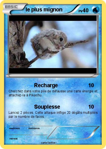 Pokemon le plus mignon