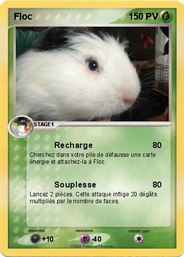 Pokemon Floc