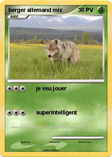 Pokemon berger allemand mix