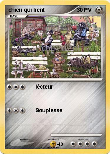 Pokemon chien qui lient