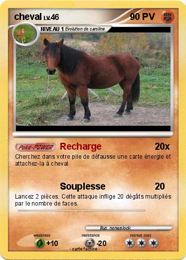 Pokemon cheval