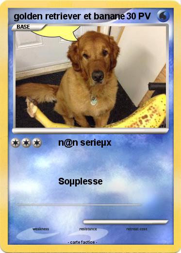 Pokemon golden retriever et banane