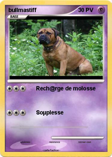 Pokemon bullmastiff