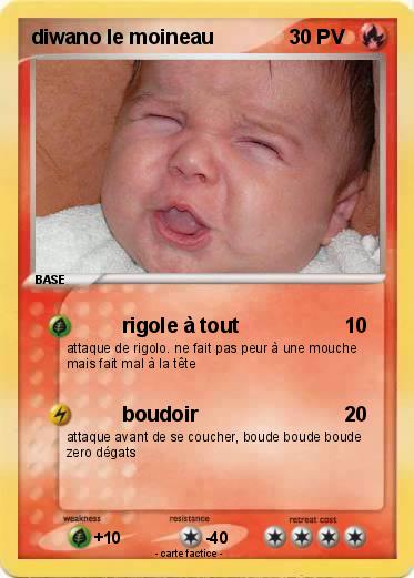 Pokemon diwano le moineau