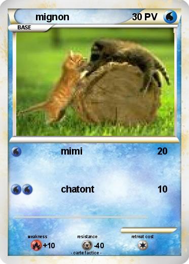 Pokemon mignon