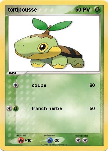 Pokemon tortipousse
