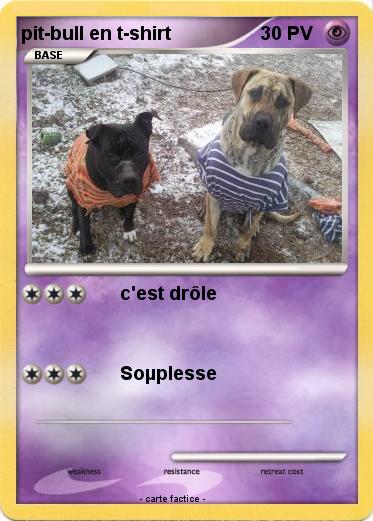 Pokemon pit-bull en t-shirt