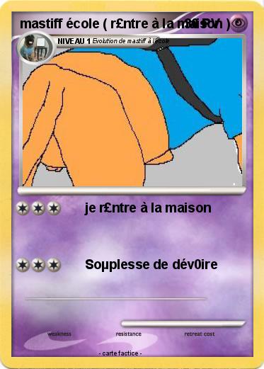 Pokemon mastiff école ( r£ntre à la maison )