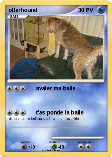 Pokemon otterhound