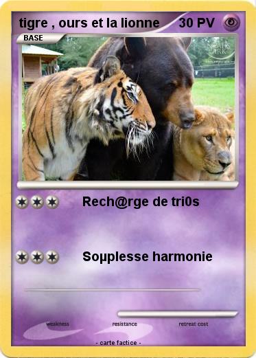 Pokemon tigre , ours et la lionne
