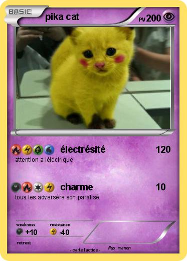 Pokemon pika cat