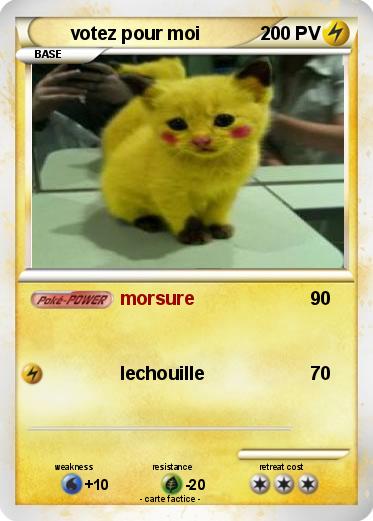 Pokemon votez pour moi
