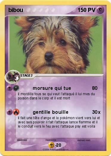 Pokemon bibou